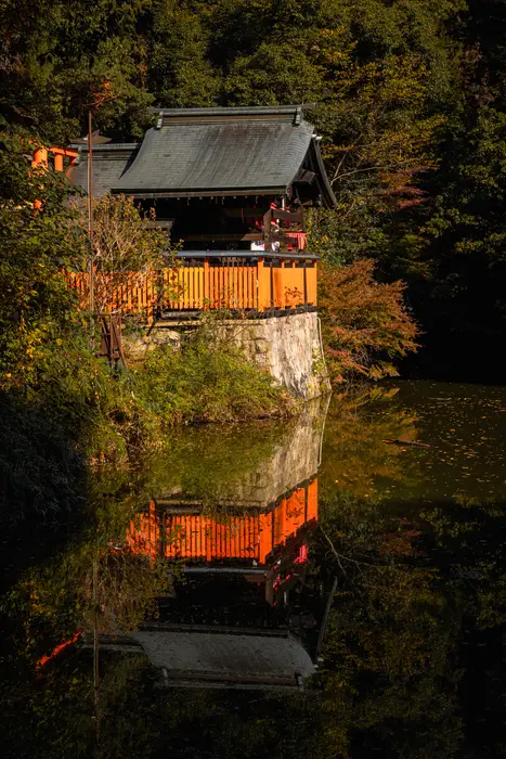 Mirror Garden